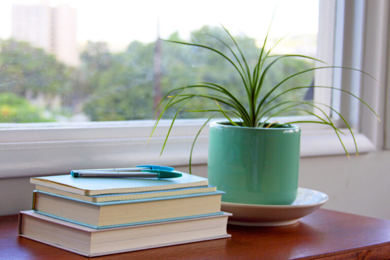 Học sinh học bài cùng Gia sư Giang tại Quận 12
